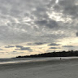 Meet your Posher, Charlotte